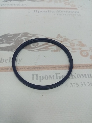 Изображение запчастей: Статическое уплотнение SSA 110х101,4х9