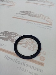 Картинка запчастей: Уплотнение поршня PSO 45х34х4,2 Pur98+NBR